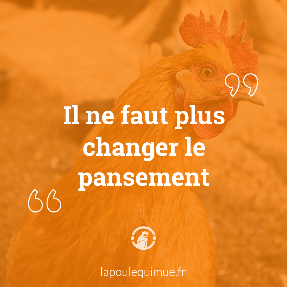 Il Ne Faut Plus Changer Le Pansement Contrep Terie Solution