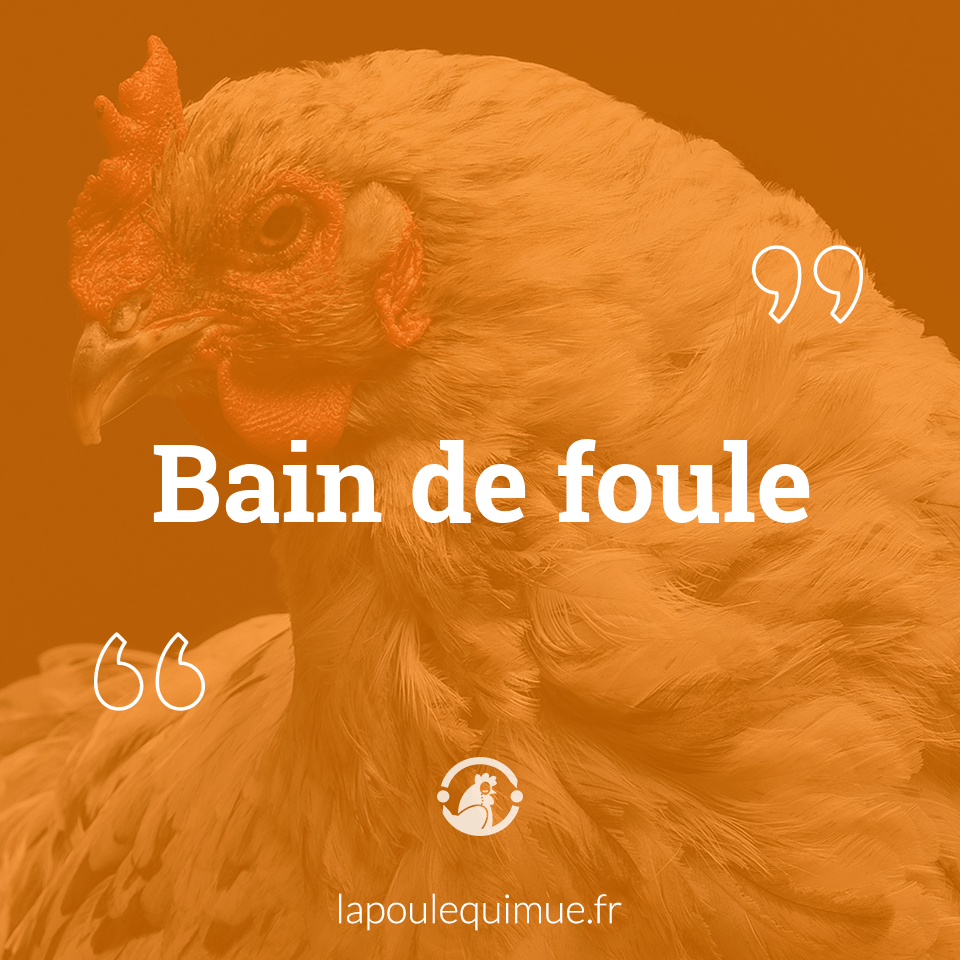 Bain De Foule Contrepèterie Solution