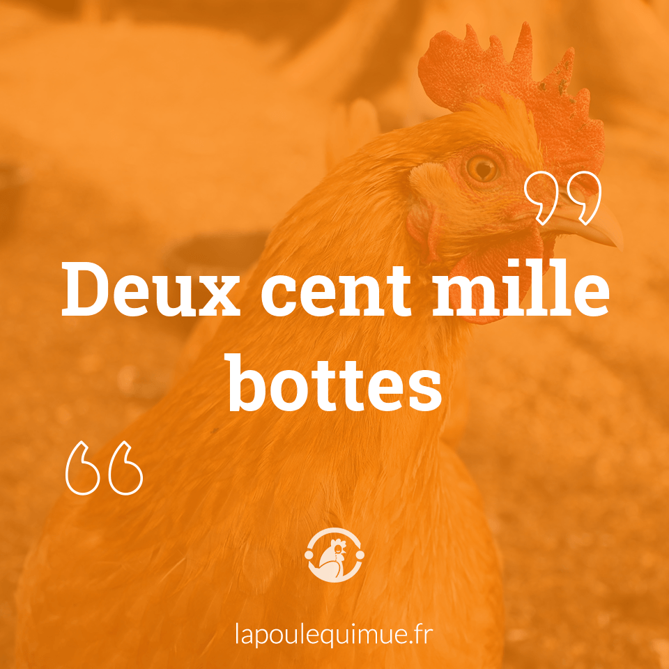 Deux cent mille bottes Contrepèterie & solution