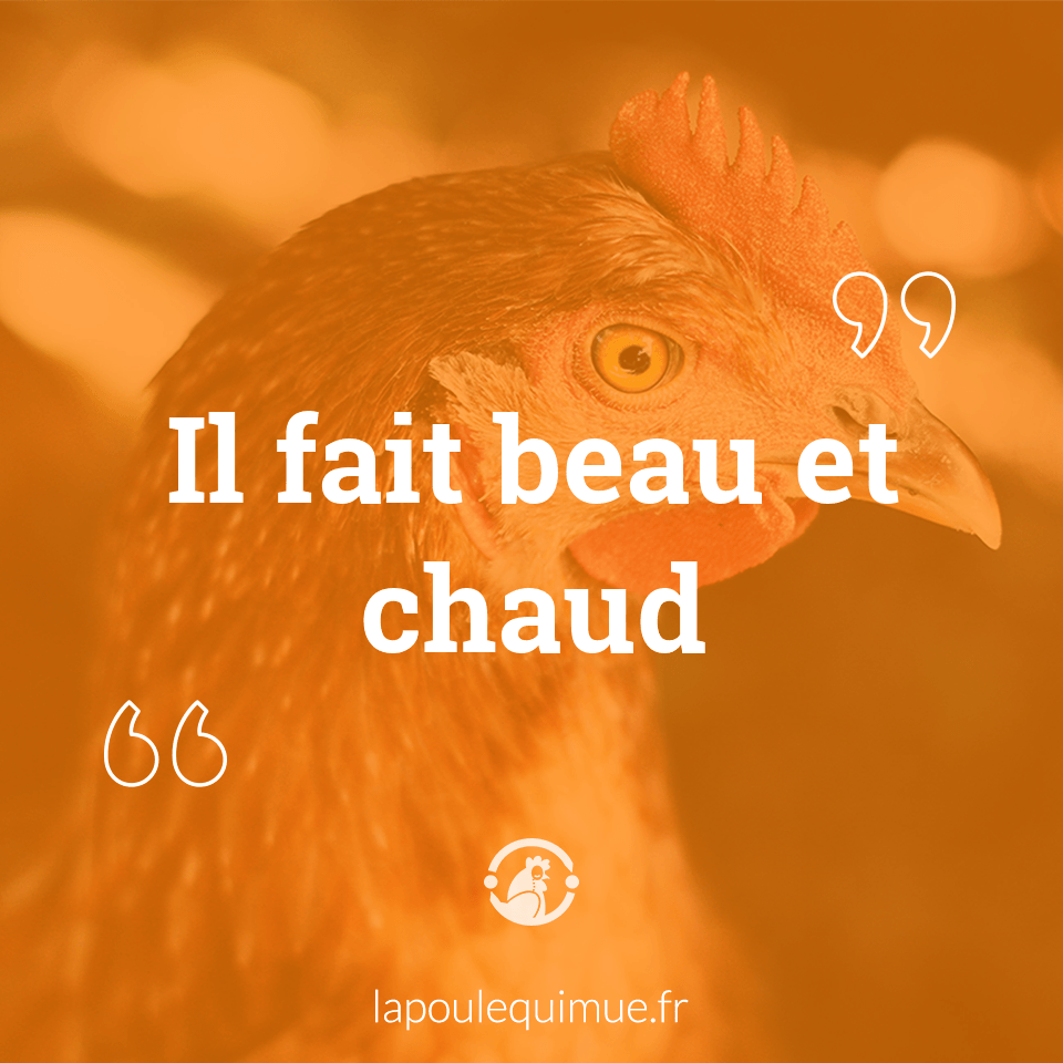 Il fait beau et chaud Contrepèterie & solution